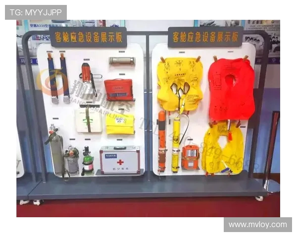 飞机客舱侧壁板的防划伤纹理设计