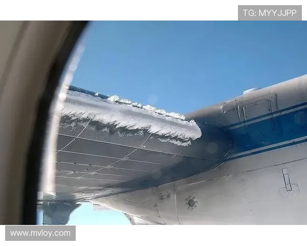 飞机机翼前缘防冰喷管的流量分布